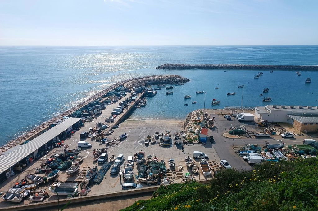 알부페이라 피싱 하버