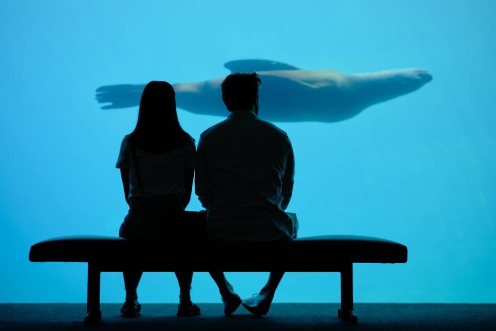 밴쿠버 아쿠아리움