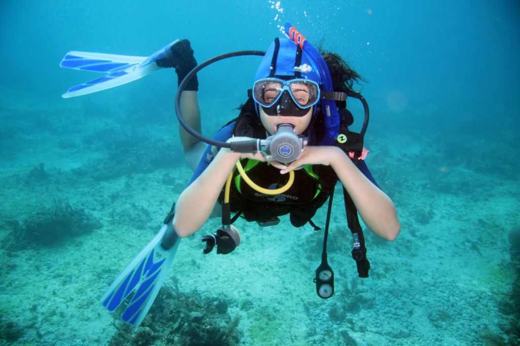 후르가다: 가이드와 함께하는 스쿠버다이빙 체험 + 왕복 교통편 + 점심 식사