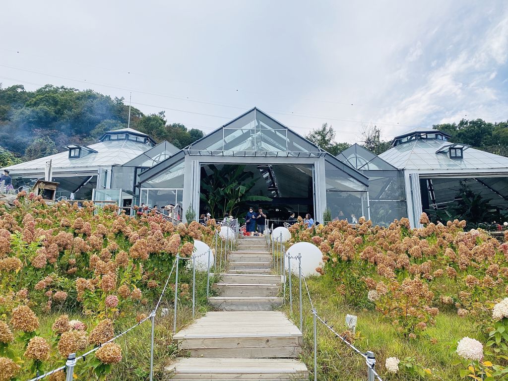 비루개