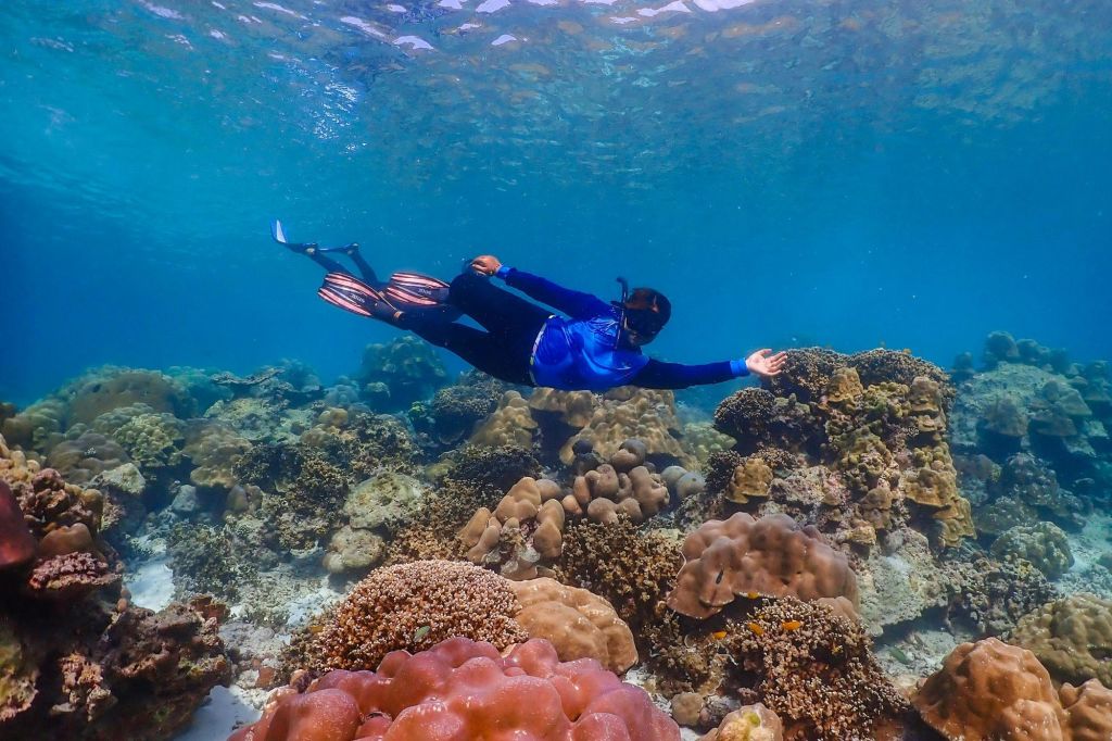 스노클링과 수중 낙원 탐방