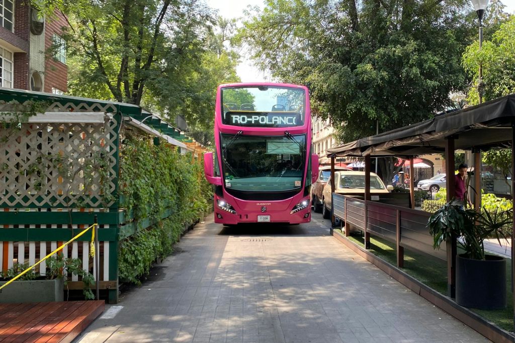 "RO-POLANC" 가 전면에 표시된 분홍색 2층 버스가 좁고 가로수 길에 있습니다.