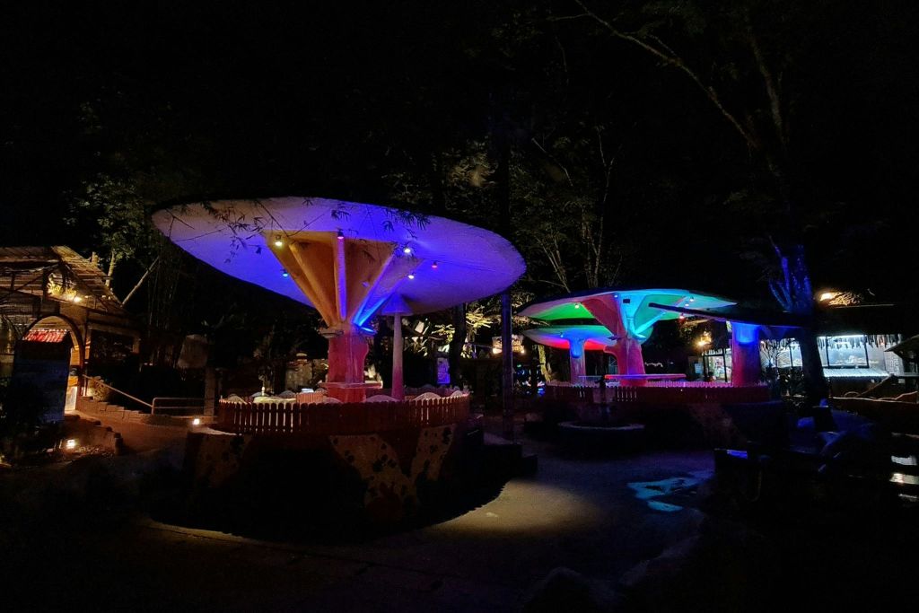 탐분이포의 잃어버린 세계