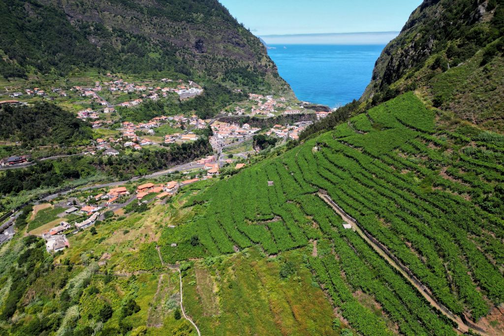 북서부 - 녹색 악마 사파리