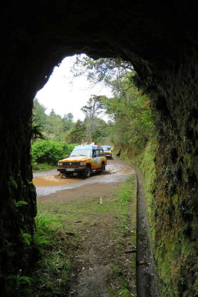 녹음이 우거진 터널 안쪽에서 보이는 진흙탕 길을 달리는 두 대의 오프로드 차량.