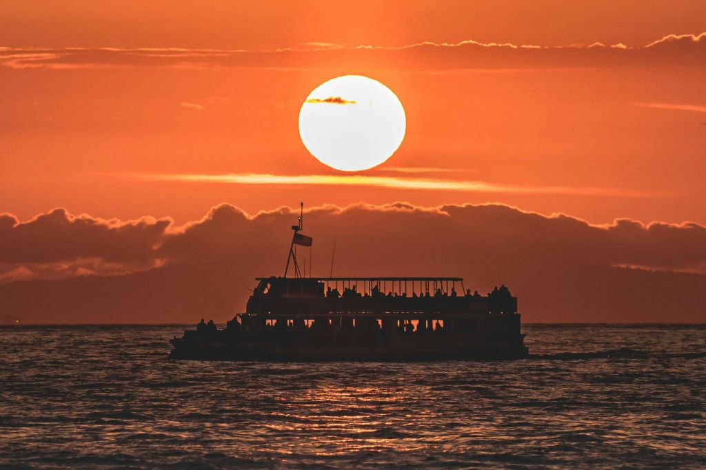 데이비의 물품 보관소