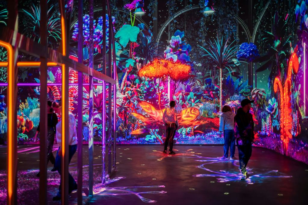 빛나는 식물과 사람들이 빛나는 환경을 탐험하는 생생하고 다채로운 실내 전시회입니다.