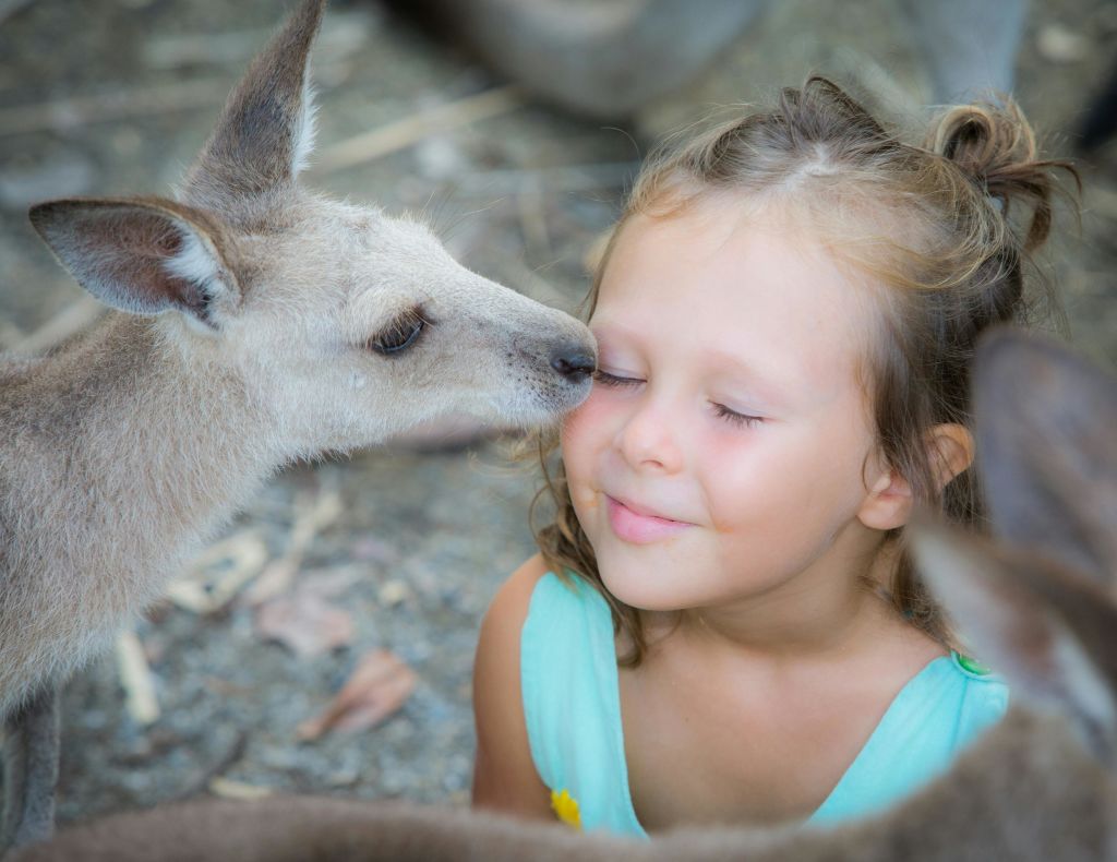 눈을 감은 어린 소녀가 캥거루가 뺨을 괴롭히며 웃고 있습니다.