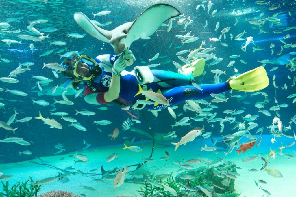 선샤인 아쿠아리움