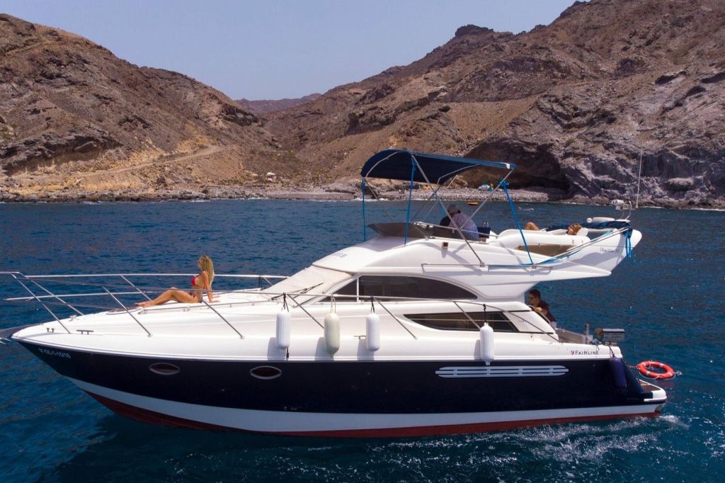 돌고래, 보트 여행, 우노 카나리아 제도 지키기