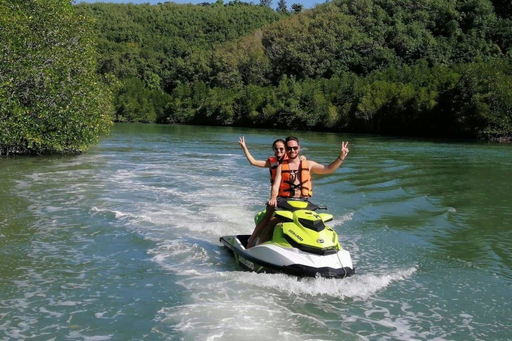 울창한 맹그로브 강의 매력에 흠뻑 빠져보세요.
