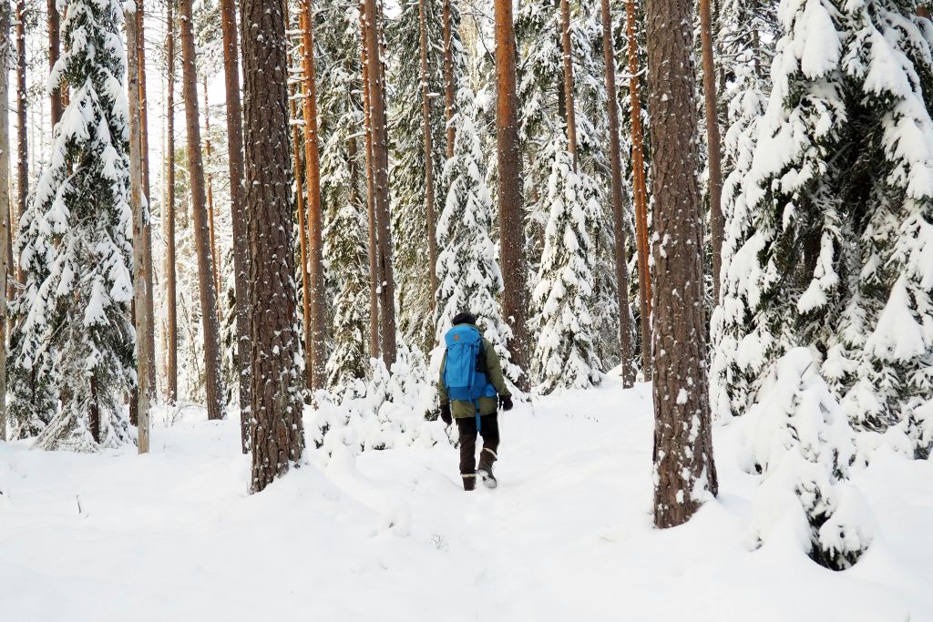신비로운 겨울의 원더랜드를 탐험해 보세요