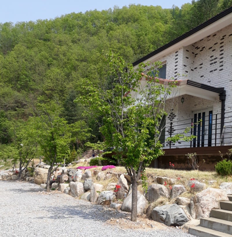 늘푸른펜션캠핑장