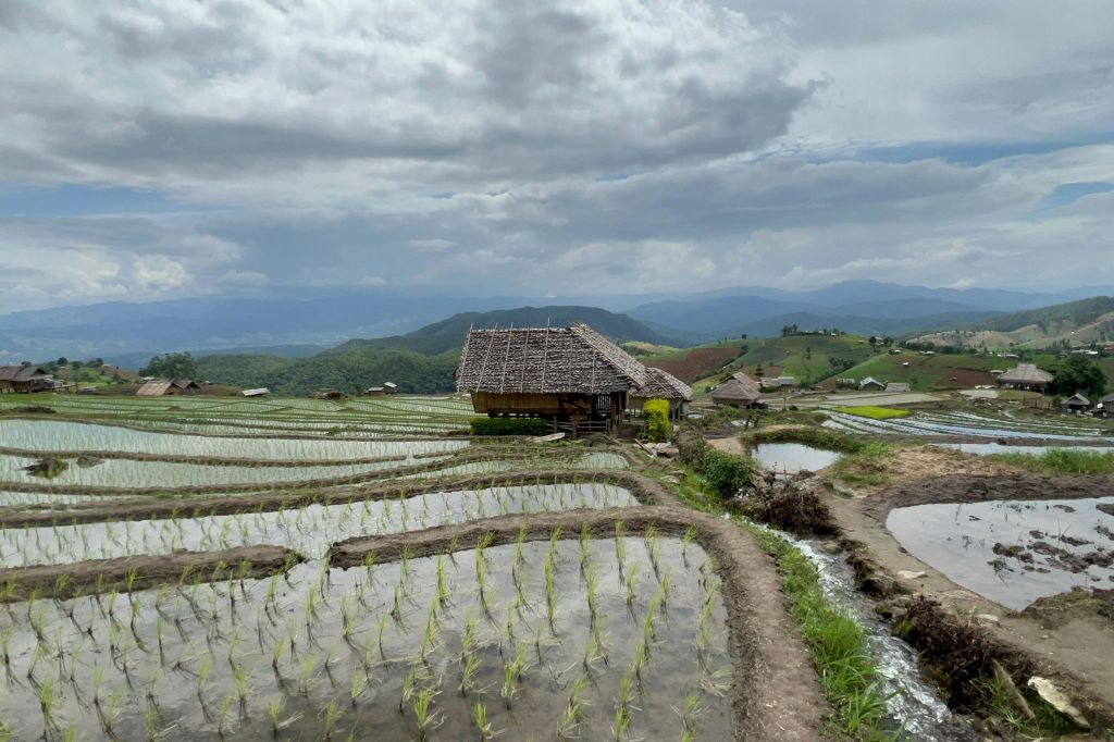 파퐁피앙 계단식 논