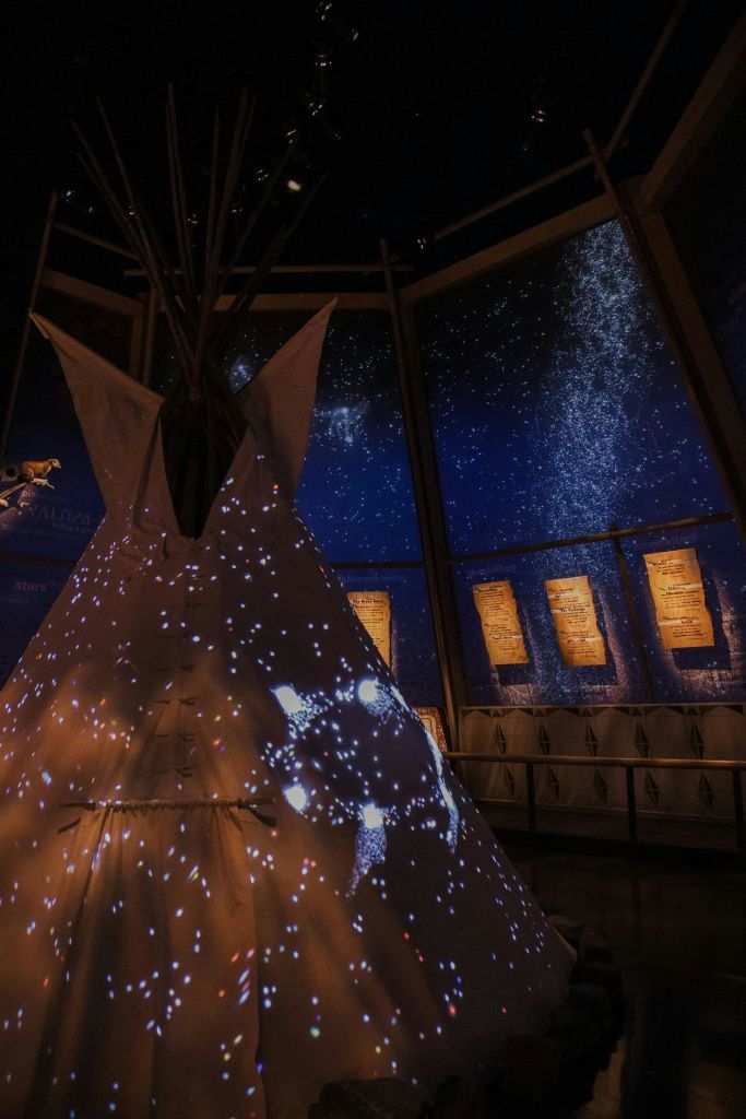 벽에 액자 모양의 서류가 놓인 희미하고 별이 빛나는 테마의 방에는 티피가 별처럼 투영되어 있습니다.