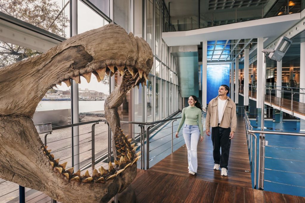유리 벽과 공룡 두개골 디스플레이가 있는 현대적인 건물 내부의 나무 산책로를 걷고 있는 두 사람.