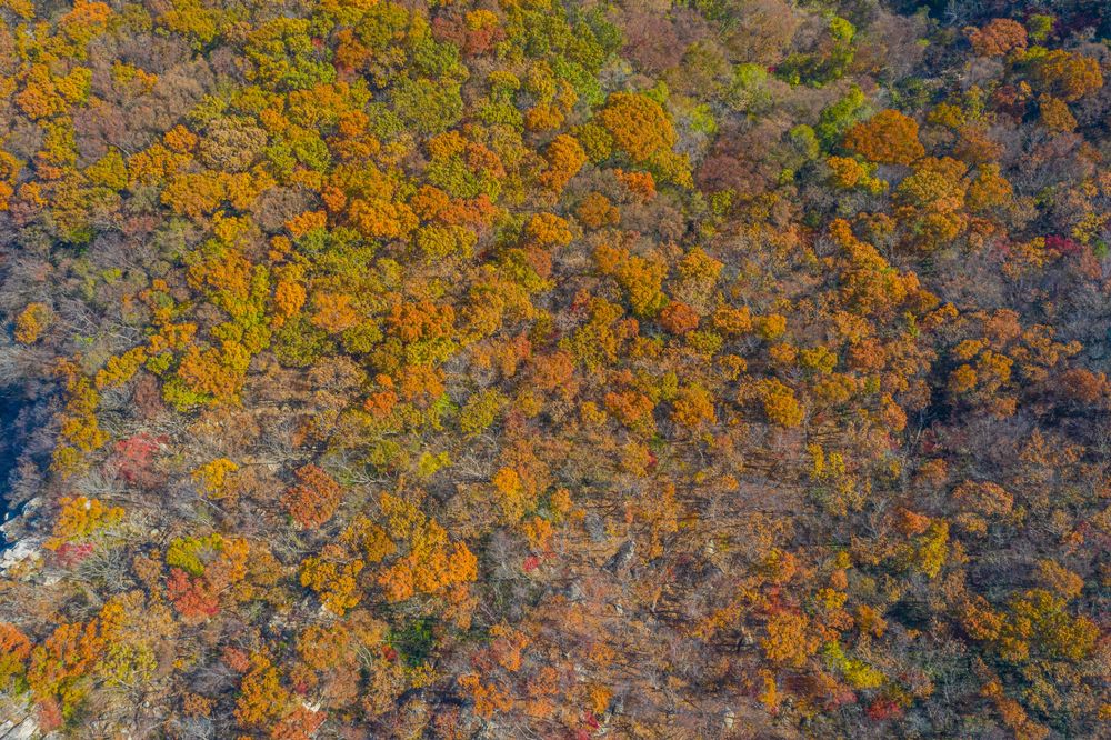 덕유산 국립 공원