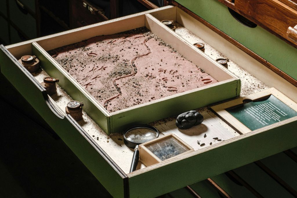 마리안젤라 디 도메니코의 흔적