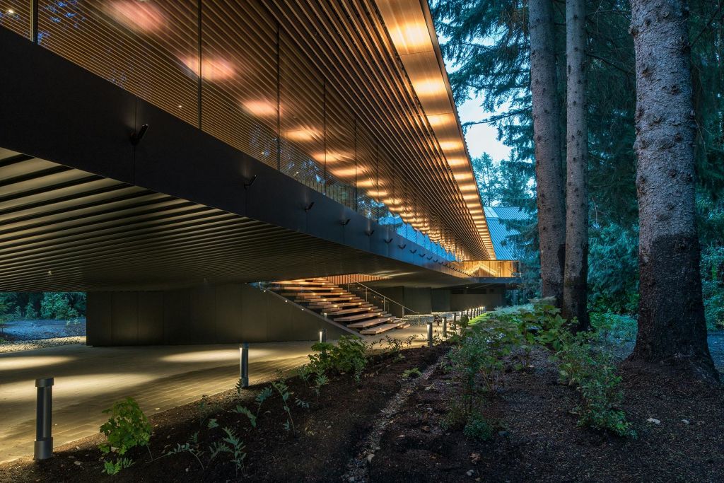 유리 외관과 나무 판자가 있는 현대적인 건물로, 나무와 식물로 둘러싸인 계단이 있는 기둥 위에 자리잡고 있습니다.