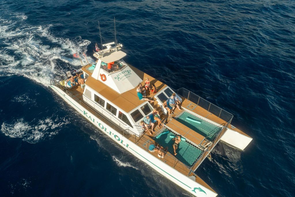 아리얼로 감상하는 오션 조이 크루즈