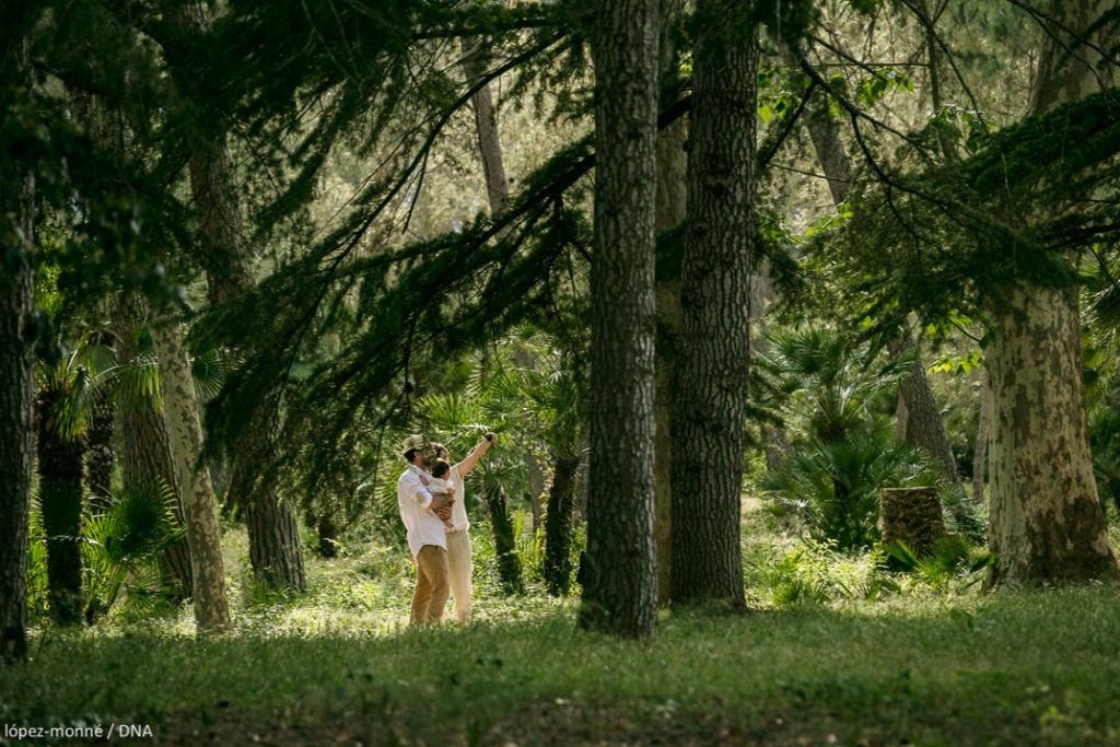 낭만적인 숲. 사마 공원. 캄브릴스