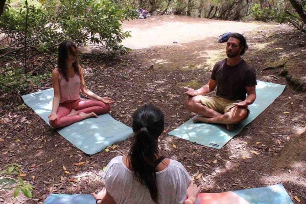 "Aanaga" 라는 텍스트는 잠재적으로 여러 언어로 된 단어가 될 수 있으므로 확실한 번역을 제공하기가 어렵습니다.