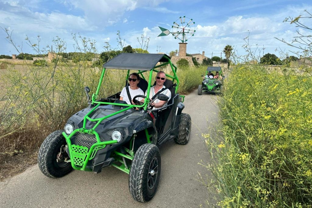 시골길의 푸른 모래 언덕에서 두 사람이 버그를 쳤고, 또 다른 버그가 따라다니고, 높은 잡초와 풍차, 흐린 하늘이 있습니다.