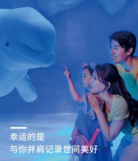 얼음과 눈의 왕국에는 벨루가 고래, 북극곰, 북극 여우, 북극 늑대 및 기타 북극 원주민이 살고 있습니다.
