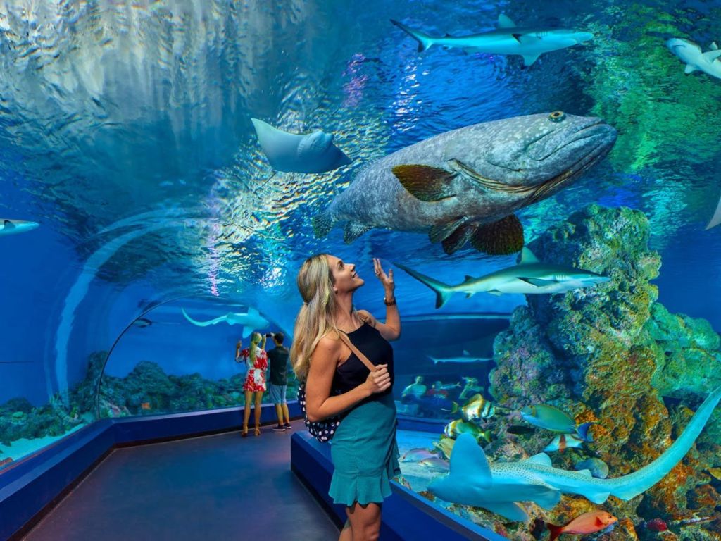 한 여성이 수족관의 수중 터널을 거닐며 커다란 물고기와 상어를 올려다보고 있습니다.