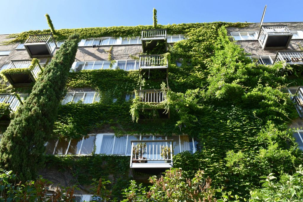 안네 프랑크 투어