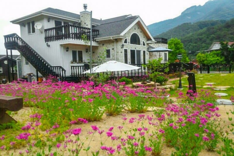 제천 베네치아펜션 이런 분들 추천해요 이미지