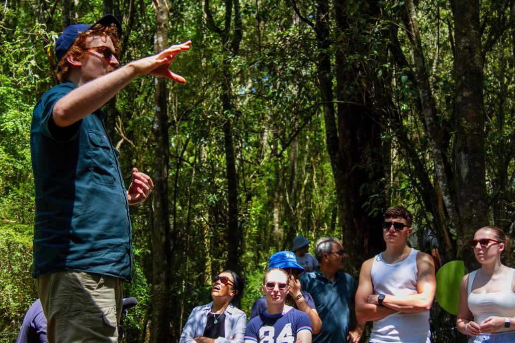 가이드와 함께하는 그레이트오트웨이 국립공원 투어