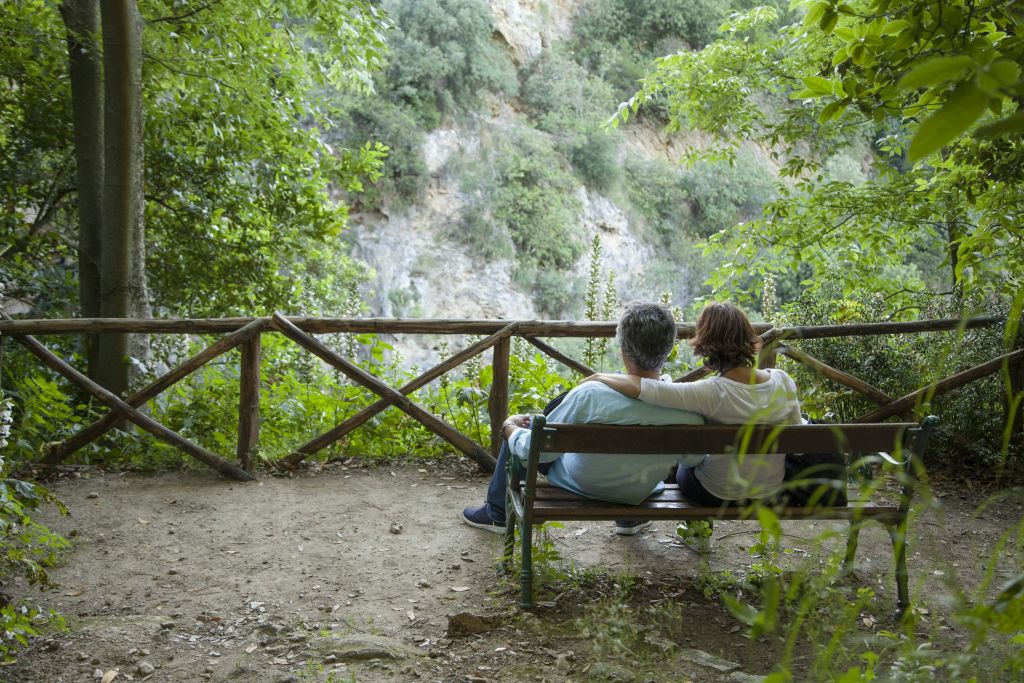 나무와 자연으로 둘러싸인 울창하고 푸르른 산악 지대가 내려다보이는 나무 벤치에 한 쌍의 커플이 앉아 있습니다.