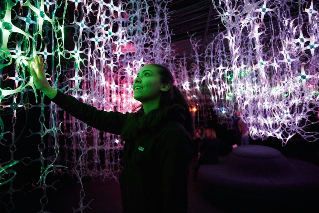 모차르트의 시냅시스