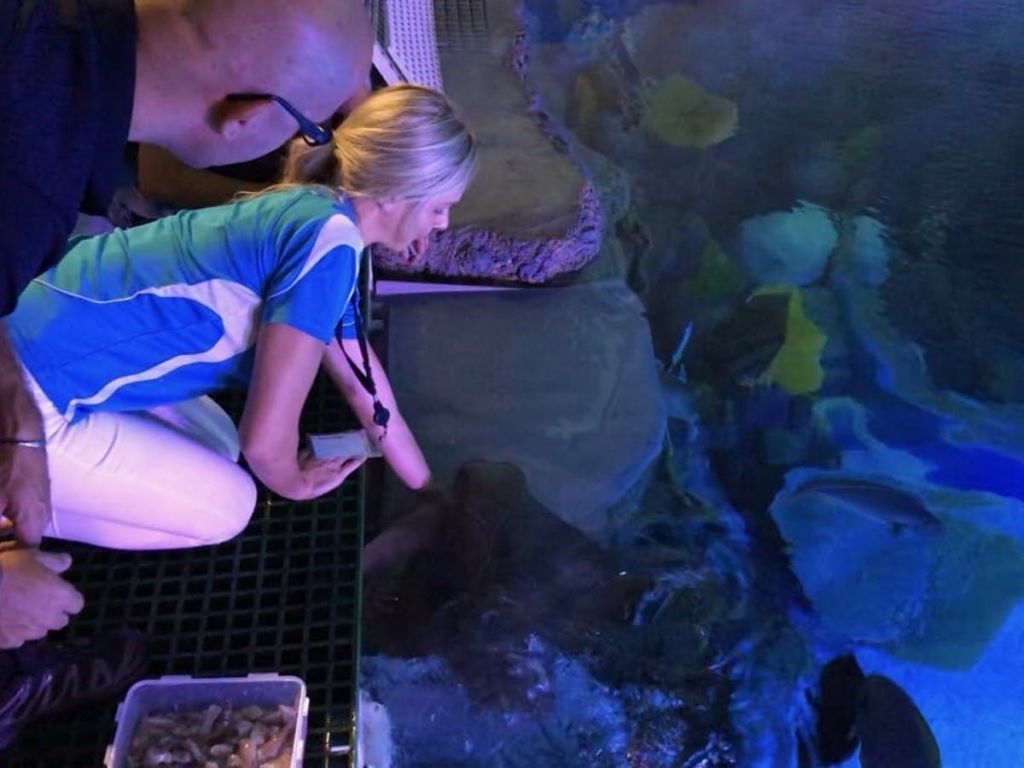 파란색 셔츠를 입은 한 여성과 한 남성이 수족관에서 해양 생물을 관찰하고 있으며, 그 여성은 물에 닿아 있습니다.