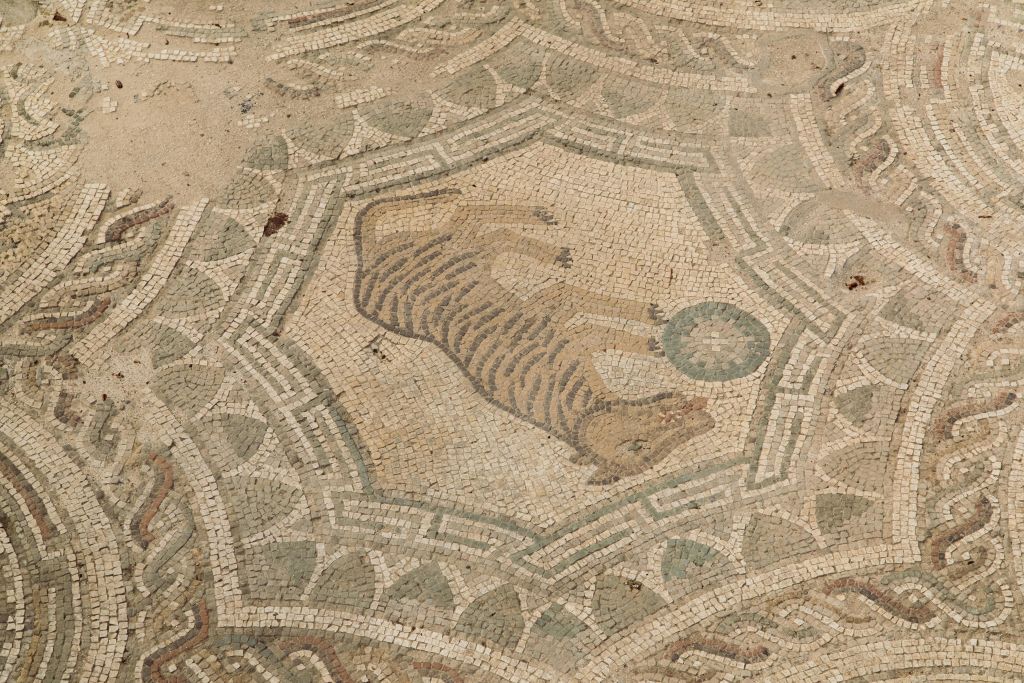 베이지색, 녹색, 갈색의 작은 타일로 만든 기하학적이고 원형 패턴의 프레임에 공을 넣은 호랑이의 모자이크.