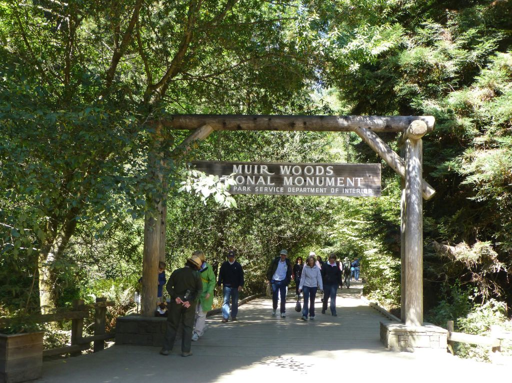 높은 나무와 녹지로 둘러싸인 뮤어 우즈 국립 기념물 입구를 거닐고 있는 방문객들.