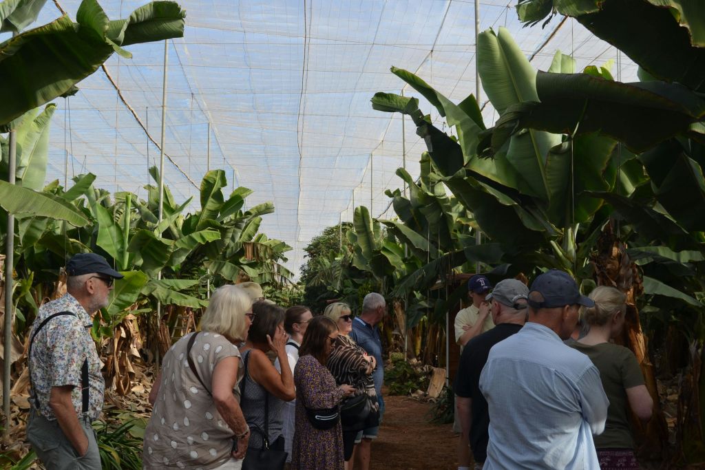 라스마르가리타스 바나나 농장 가이드 투어