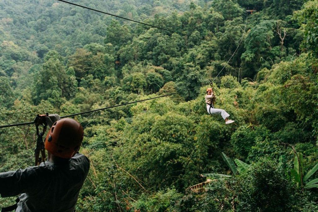 울창한 녹색 숲 캐노피 위에 두 사람이 집라인을 타고 있습니다. 한 사람이 하네스를 잡고 카메라에 더 가까이 다가갑니다.