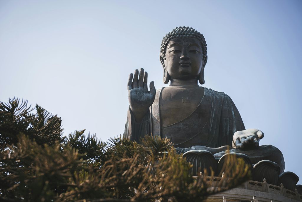 오른손을 들고 야외에 앉아 나무 가지에 의해 부분적으로 가려진 커다란 불상. 배경의 맑은 하늘.