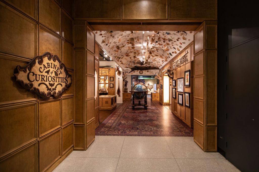 휴스턴 자연 과학 박물관의 호기심의 내각