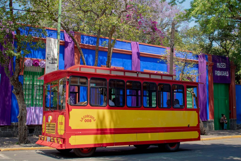 프리다 칼로 박물관