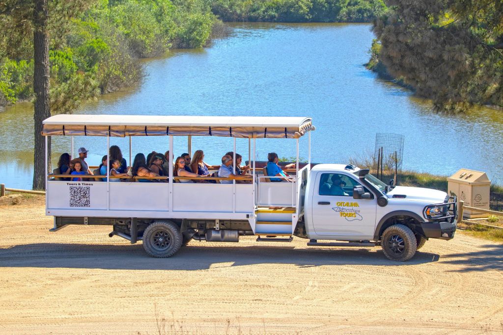 녹음이 우거진 바다를 배경으로 모래 길을 달리는 야외 투어 트럭을 탄 한 무리의 사람들.