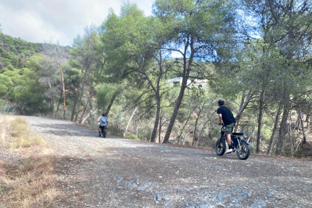 높은 나무와 햇빛이 어우러진 숲 속 자갈길에서 자전거를 타는 두 사람이 있습니다.