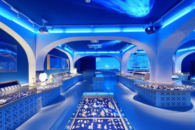 아치형 통로 아래 다양한 조개껍질과 해양 유물을 전시한 전시 케이스가 있는 밝고 푸른 테마의 방입니다.