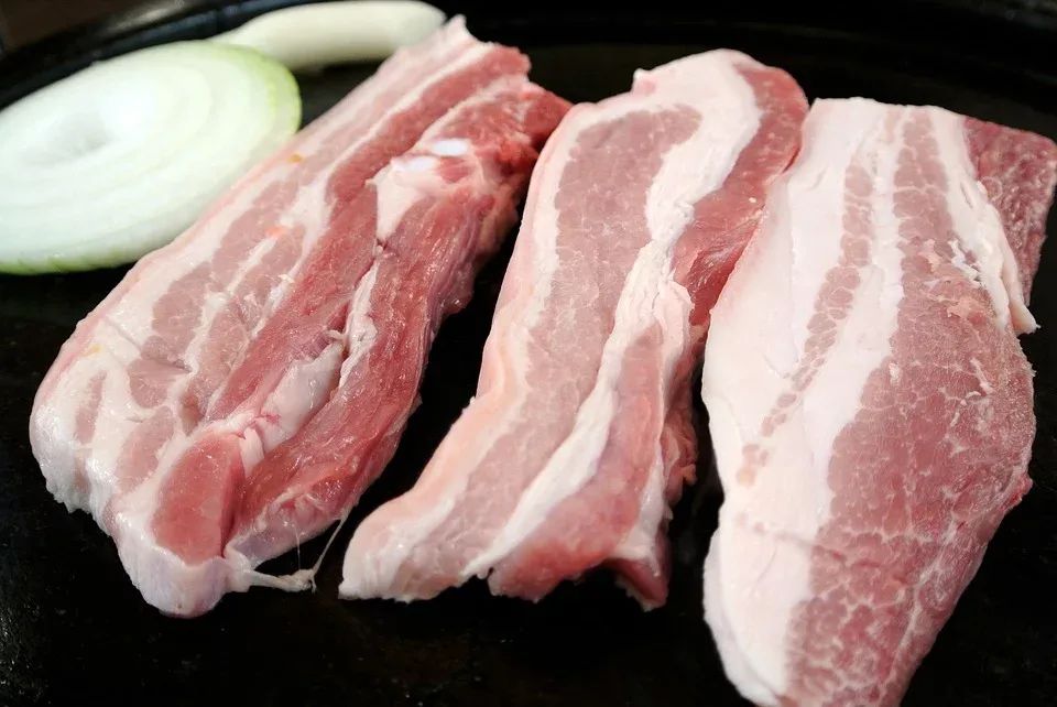 흑돼지 한마리