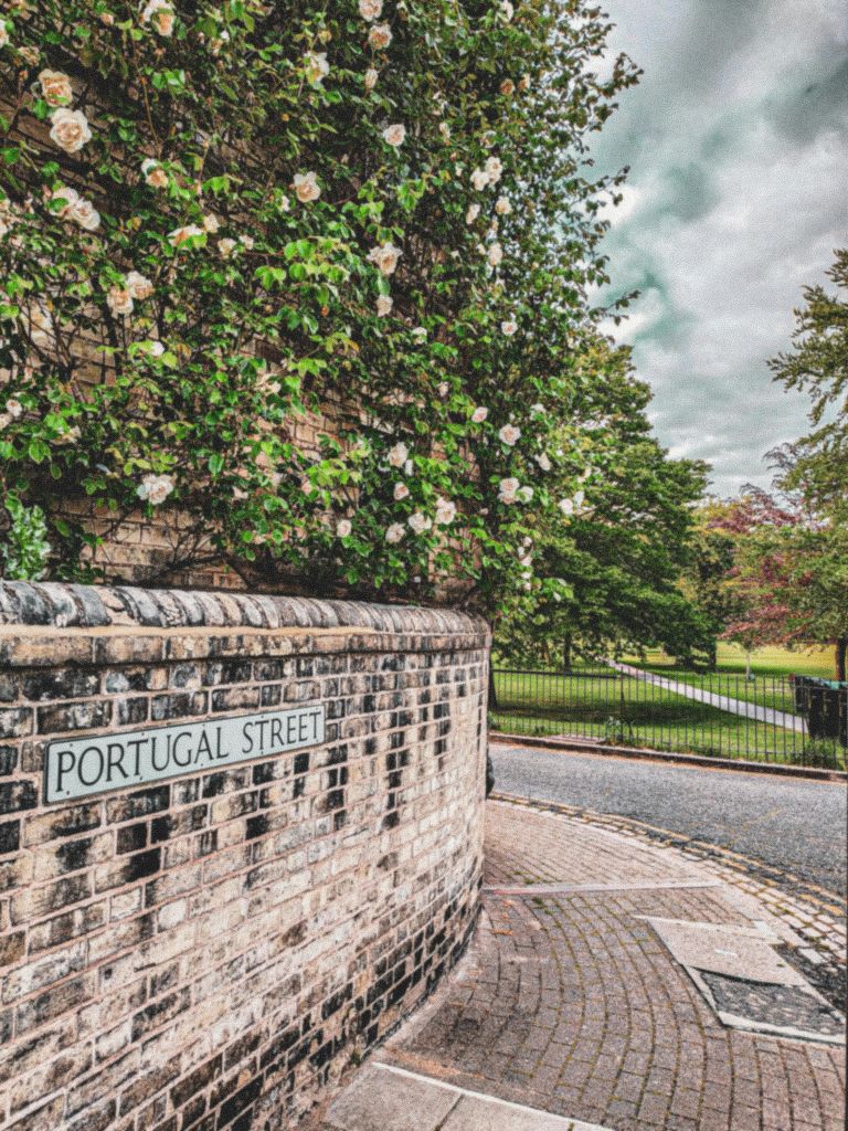 나무가 있는 공원으로 이어지는 길 옆에 하얀 꽃과 녹음이 우거진 "포르투갈 스트리트" 표지판이 있는 벽돌 벽이 있습니다.