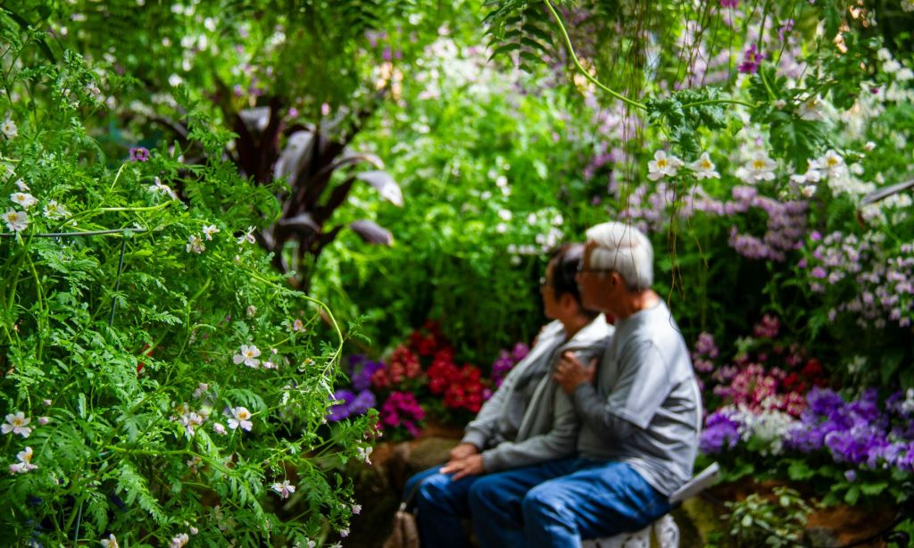 울창한 녹음과 정원에 화려하게 피어난 꽃으로 둘러싸인 두 노인이 벤치에 바짝 앉아 있습니다.