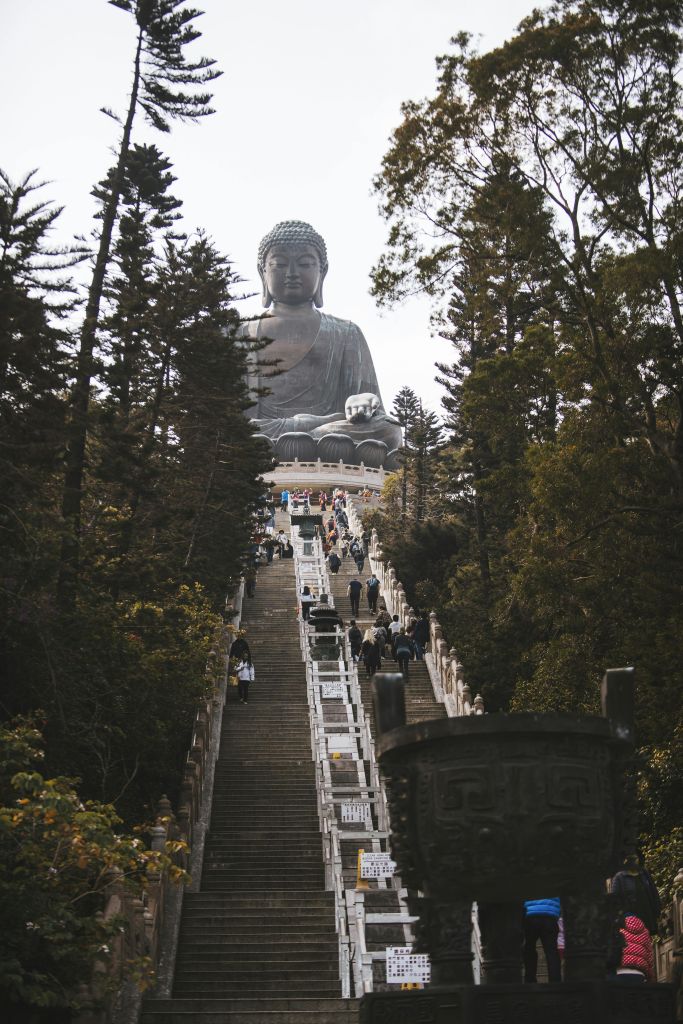 나무로 둘러싸인 커다란 불상을 향해 계단을 오르는 사람들.