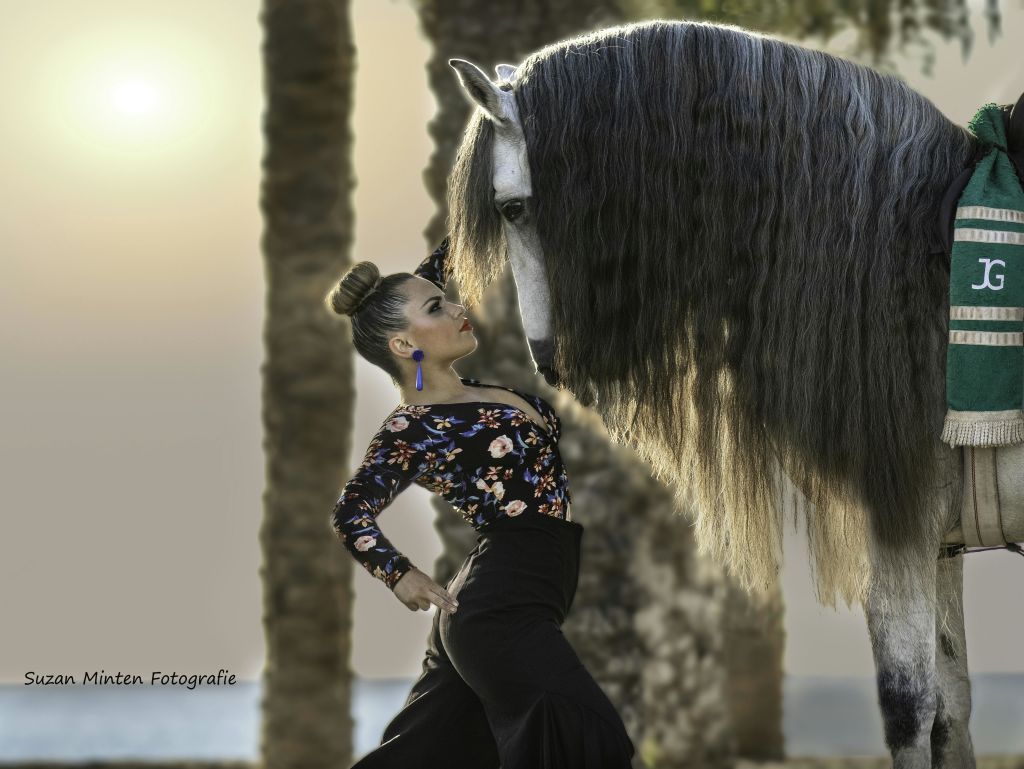 꽃무늬 상의와 검은 치마를 입은 여성이 석양에 야자수를 배경으로 커다란 말을 들고 극적인 포즈를 취하고 있습니다.